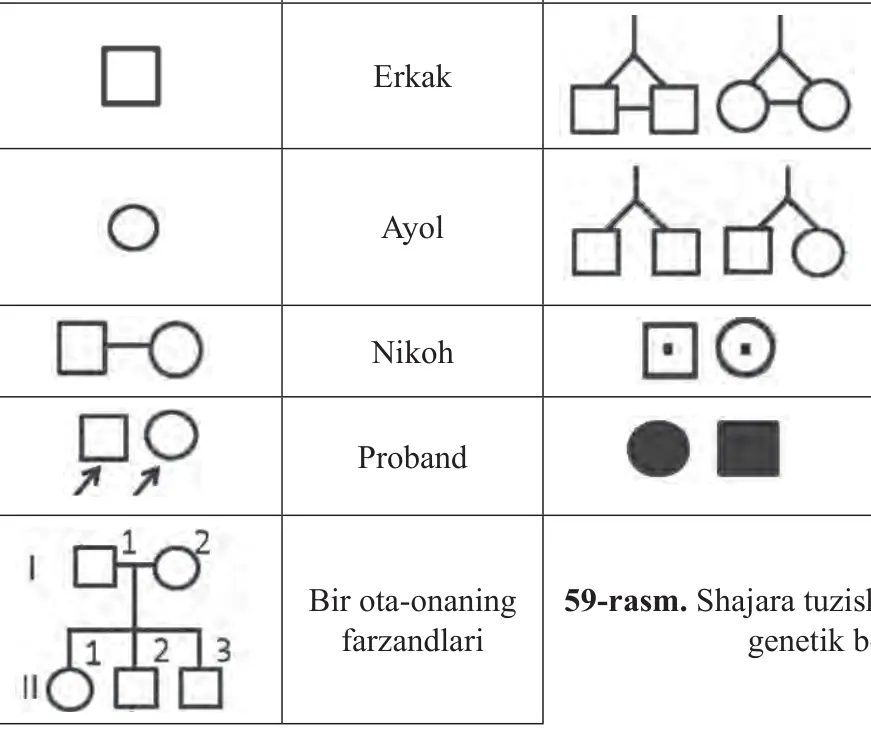 59-rasm. Shajara tuzishda foydalaniladigan Bir ota-onaning farzandlari genetik belgilar.