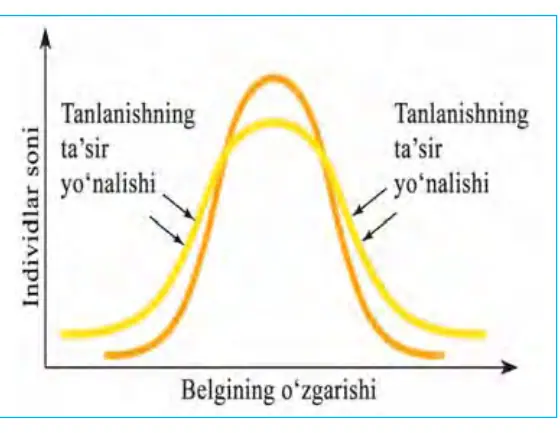94-rasm. Stabillashtiruvchi tanlanish. A – latimeriya; B – gatteriya.