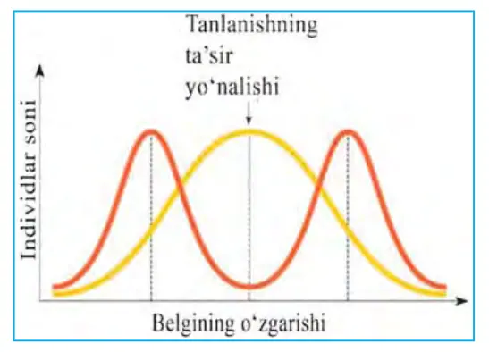 98-rasm. Dizruptiv tanlanish.