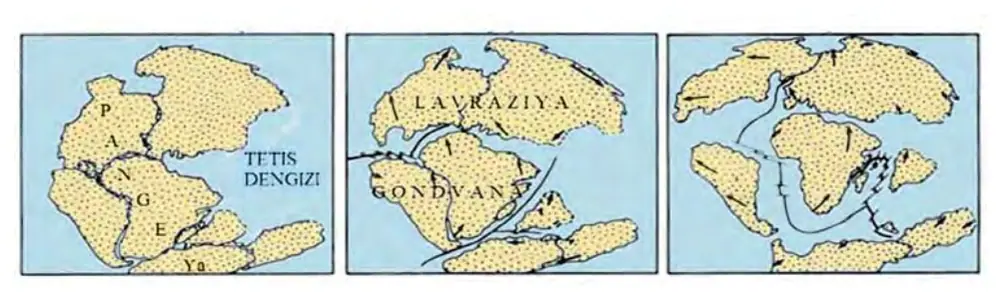 113-rasm. «Materiklar dreyfi» nazariyasiga ko‘ra tarixiy jarayonda qit’alarning paydo bo‘lishi.