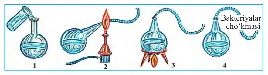 120-rasm. L. Paster tajribasi.