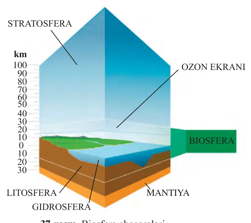 37-rasm. Biosfera chegaralari.
