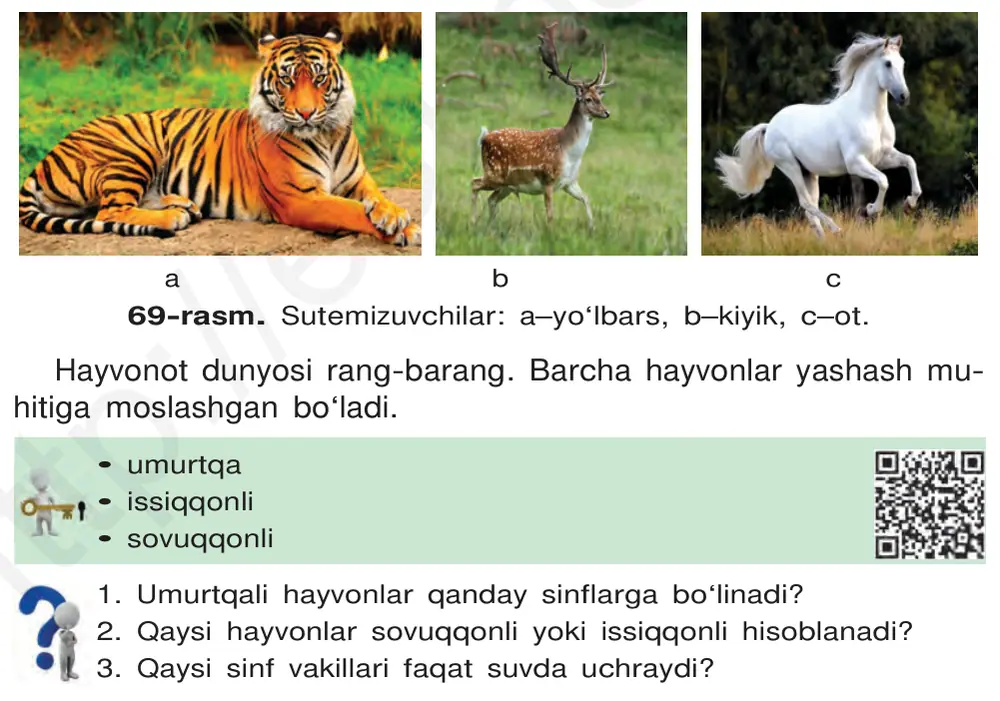 69-rasm. Sutemizuvchilar: a–yo‘lbars, b–kiyik, c–ot.