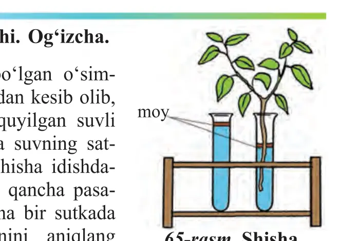 65-rasm. Shisha idishdagi suv sathi bir sutkada pasayish darajasi