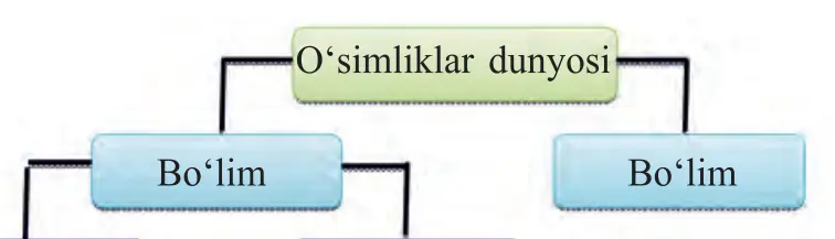 79-rasm. O‘simliklar sistematikasidagi birliklar sxemasi: o‘simliklar dunyosi – bo‘lim – sinf – oila – turkum – tur.