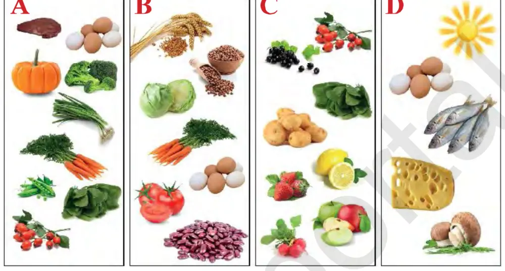 58-rasm. Vitaminlarga boy oziq-ovqatlar. (A, B, C, D vitaminlariga boy mahsulotlar)